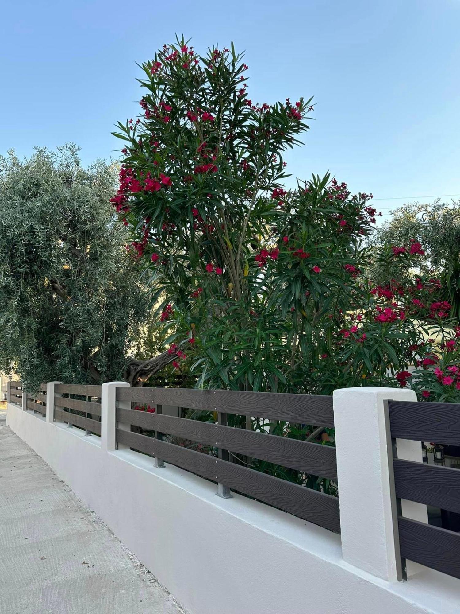 Valia House Thassos Apartment Skala Kallirakhis Ngoại thất bức ảnh