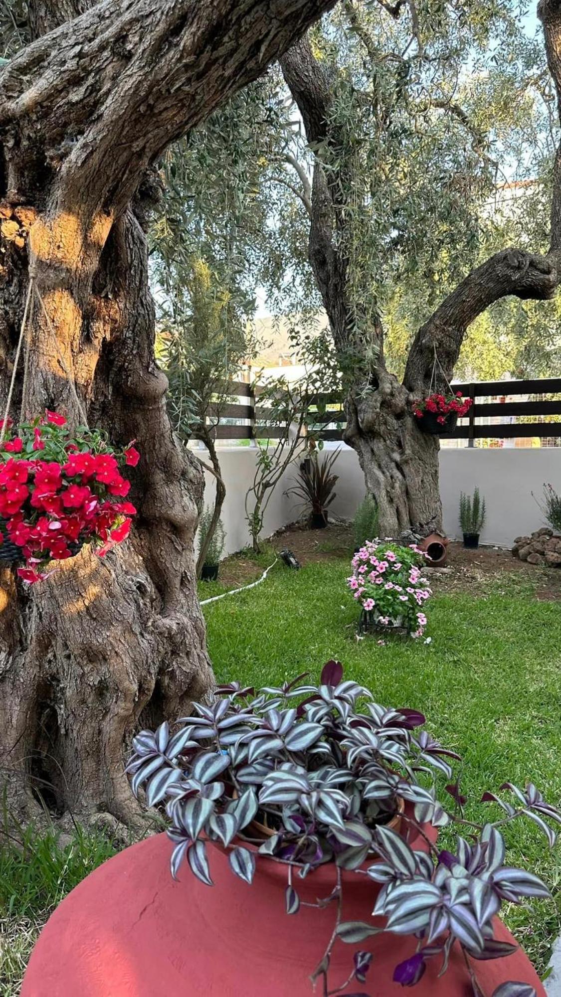 Valia House Thassos Apartment Skala Kallirakhis Ngoại thất bức ảnh