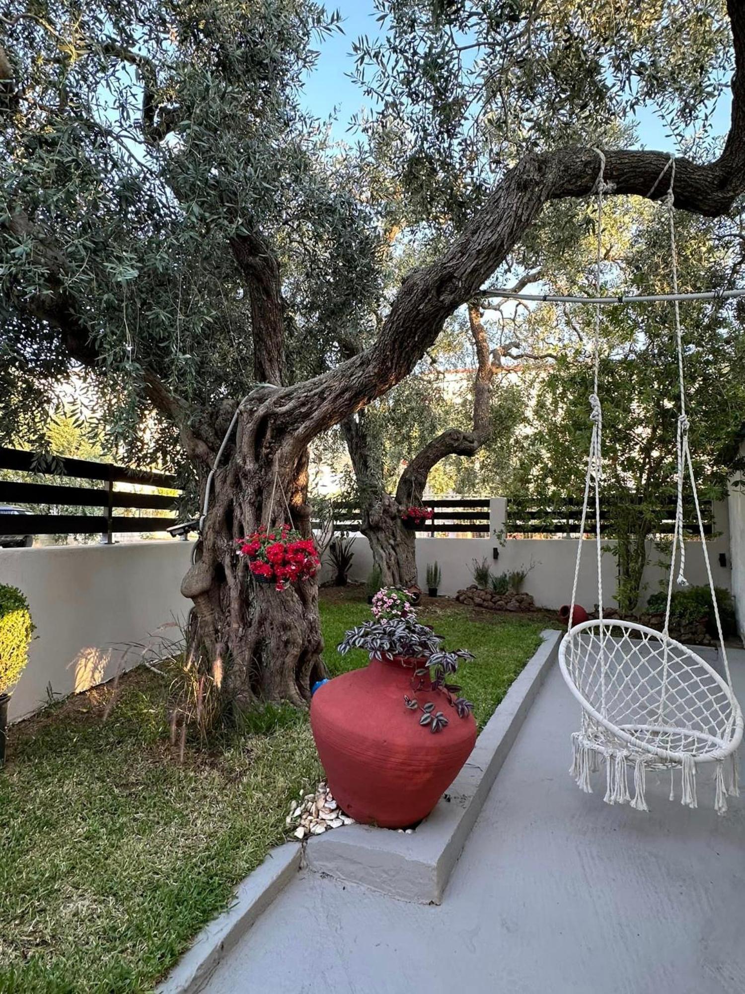 Valia House Thassos Apartment Skala Kallirakhis Ngoại thất bức ảnh