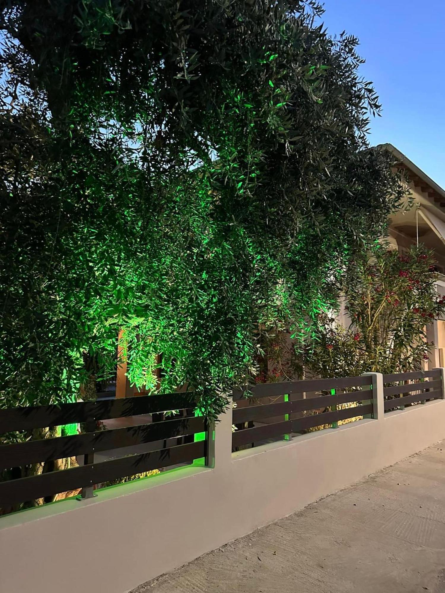 Valia House Thassos Apartment Skala Kallirakhis Ngoại thất bức ảnh